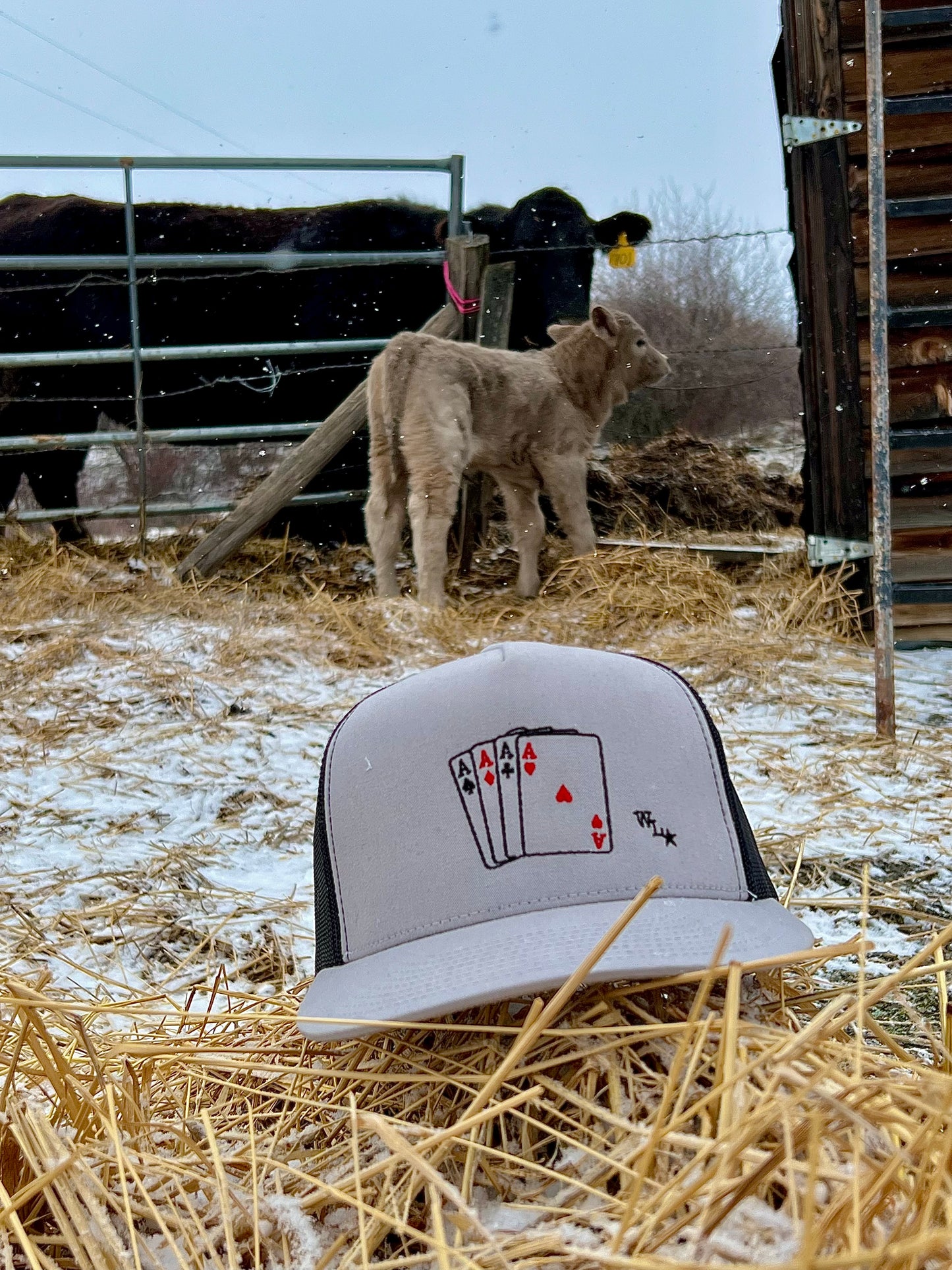Trucker Cap ACE of Cards